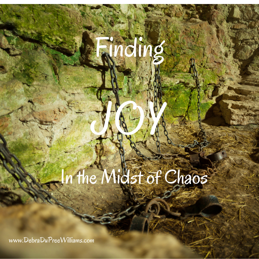 Finding Joy in the Midst of Chaos - Debra DuPree Williams | Debra ...