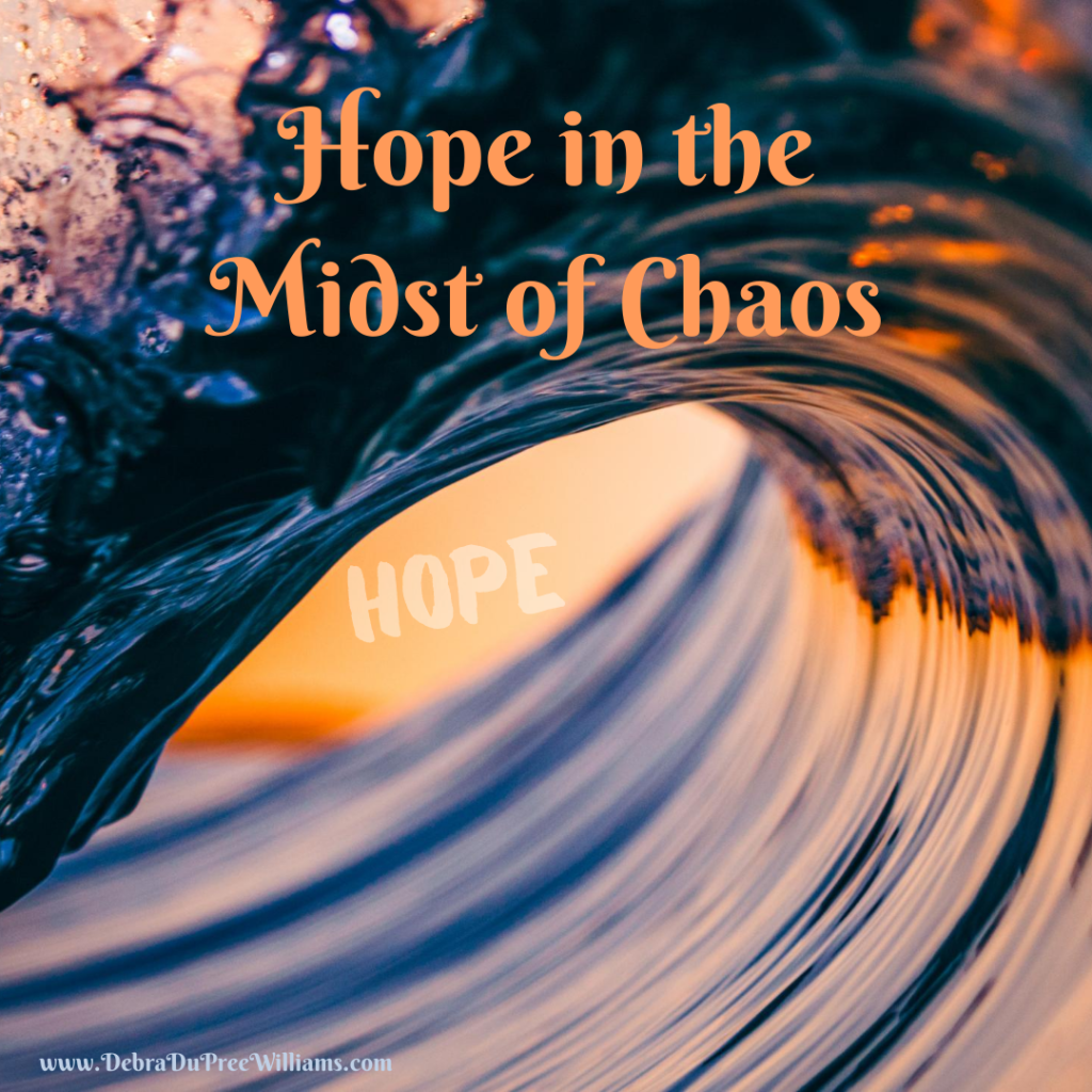 Hope in the Midst of Chaos Debra DuPree Williams Relatively
